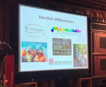 Inklusionpreis, Projektorbild