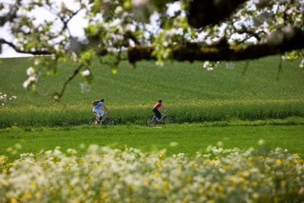 Zwei Radfahrer in einer blühenden Landschaft