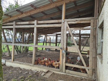 Einige braune Hühner in einer Stallvorrichtung aus Holz und Maschendrahtzaun.