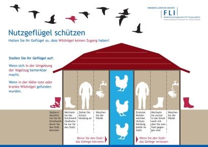 Infografik zur Haltung Nutzgeflügel Infografik zur Haltung Nutzgeflügel