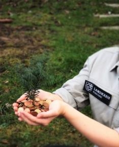 Foto: Hände halten Münzen aus denen ein Bäumchen wächst