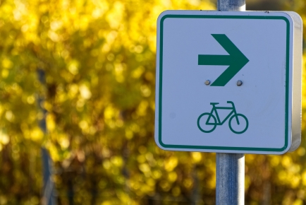 Ein quadratisches, weißes Schild, auf dem ein grüner Pfeil und ein Fahrrad-Symbol abgebildet sind ist zu sehen. Im Hintergrund kann man unscharf gelbe Felder oder Bäume erkennen. 