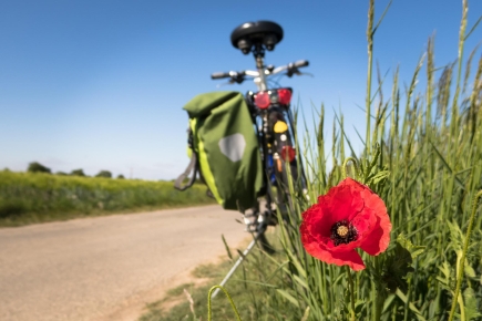 Ein Fahrrad mit grüner Satteltasche steht am Rand eines Feldwegs. Rechts im Bild ist langes Gras zu sehen. Im Bildvordergrund ist eine rote Mohnblume zu sehen, auf der der Bildfokus liegt. 