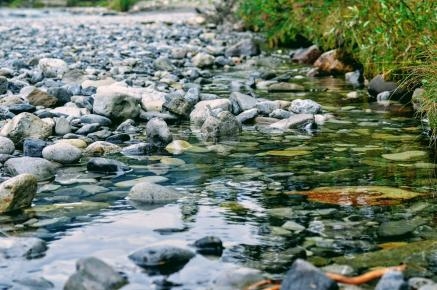 Symbolbild: Bildausschnitt von Flussbett mit Steinen und wenig Wasser