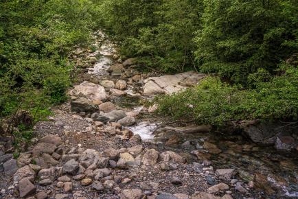Symbolbild: Flusslauf mit trockenen Steinen und seitlich wenig Wasser führend mit grünen Bäumen an der Seite